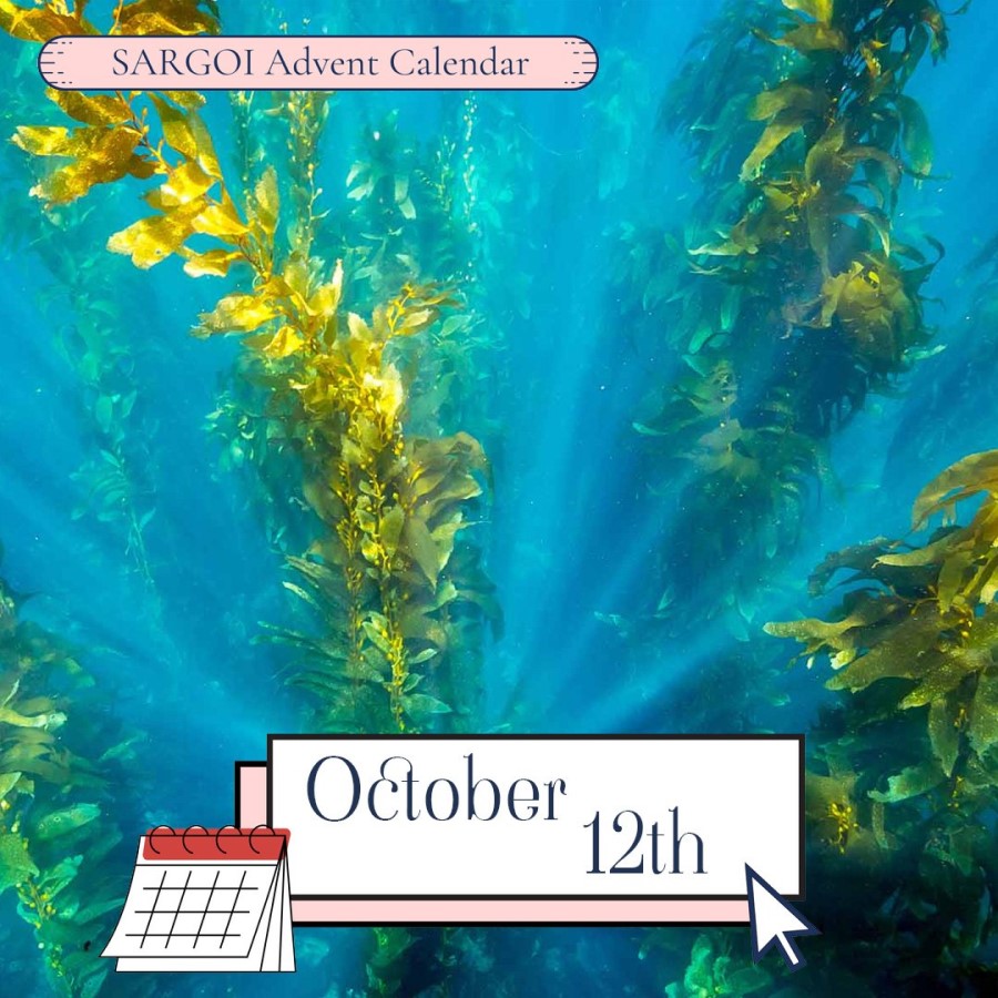 Seaweed Day